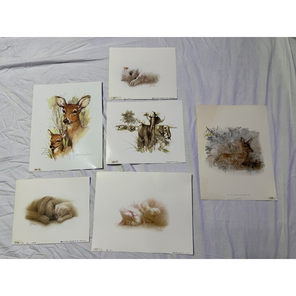 Vintage Lot of 6 Laminated Art Prints 1970s 80s Classroom Pets Animals Harrison